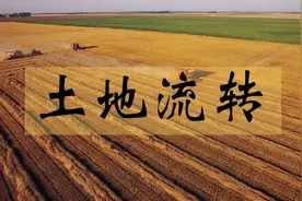 普法：农村土地流转相关知识全解图片