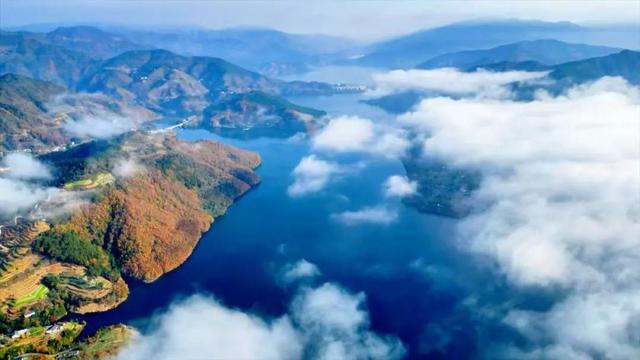 年休假别宅家 “发霉”！青川这波 “氧” 生局，必须冲！
