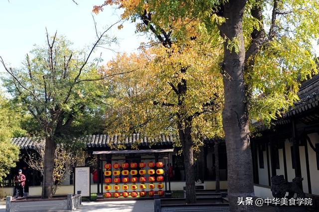 山东临清，藏着一个鲜为人知的4A级景区