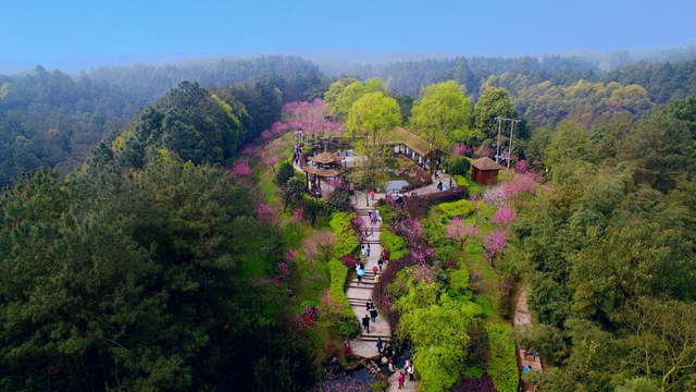 四川省自流井区历史沿革及行政区划