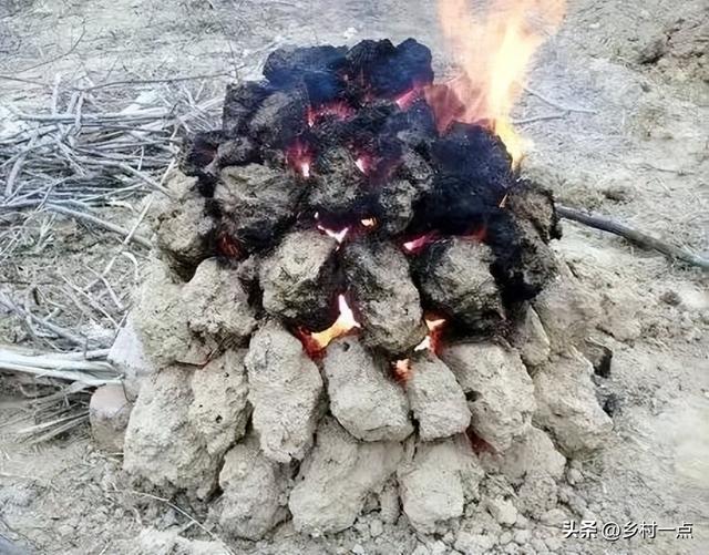 明日霜降，无论多忙，提醒“最不能”做的5件事，告诉家人要知道