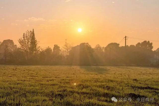 速来→崇州正上演初冬金色浪漫大片！