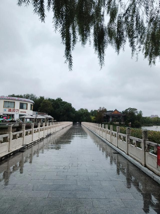 天津小雨中的《水上公园》