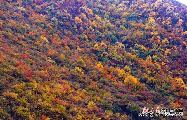 【节气里的大美中国·多彩甘肃】秋分