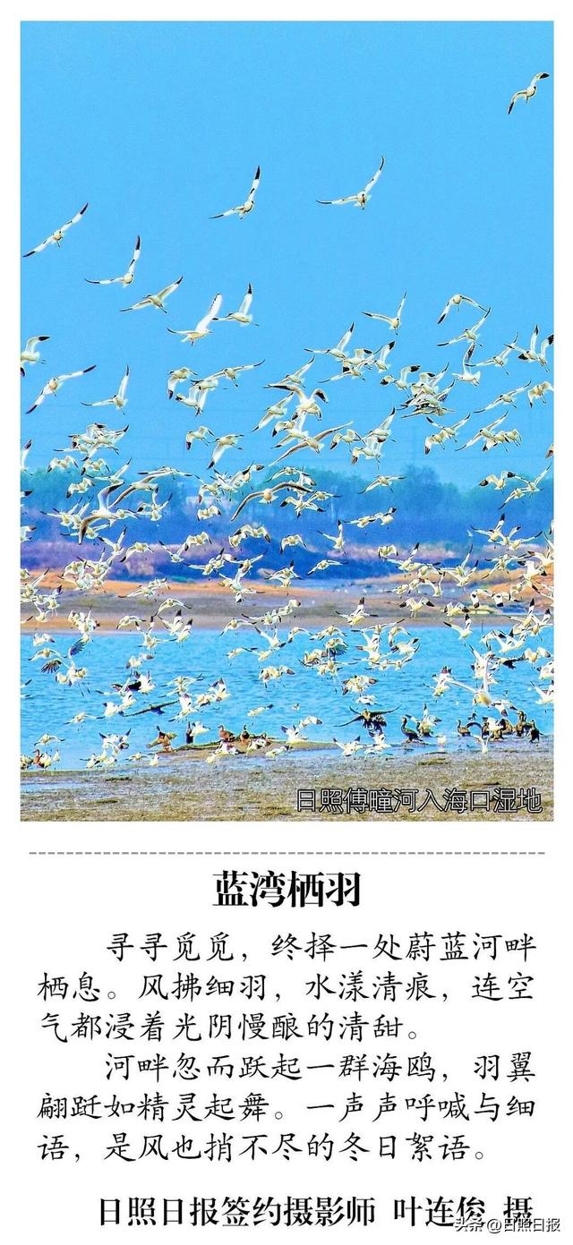 一秒心动！一镜出片！在日照这些地方get冬日氛围“天花板”！