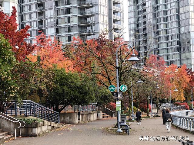 温哥华游记（六）