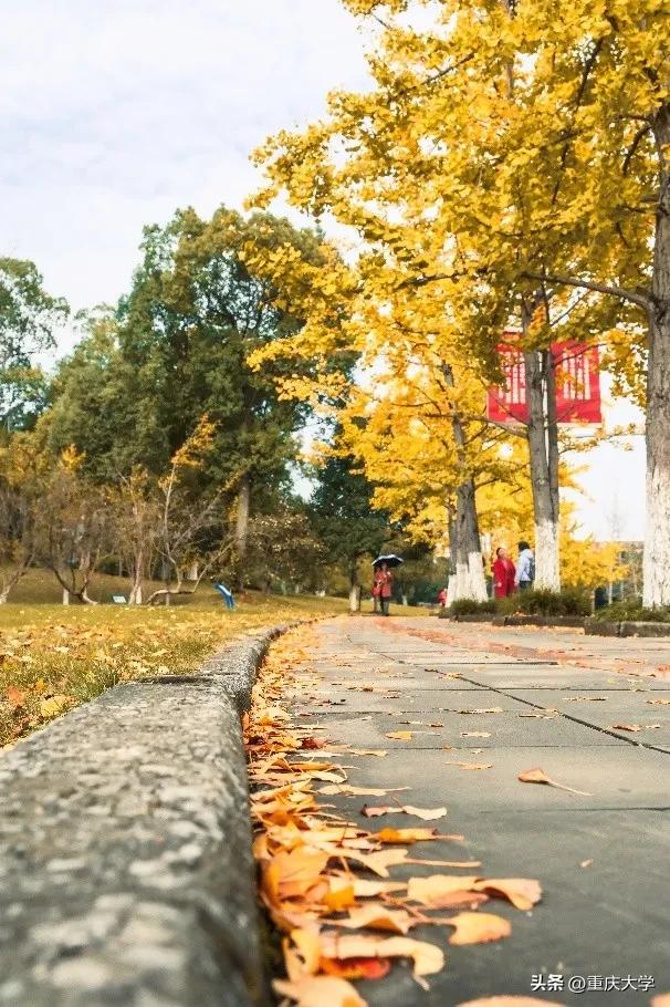 重大限定皮肤上新，超出片！🤳
