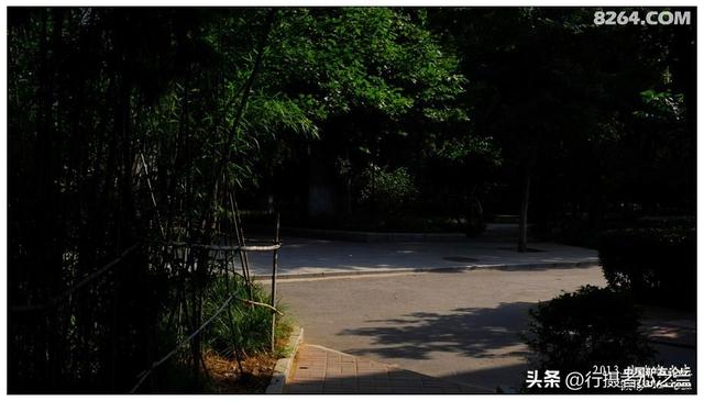 山东行游影记（15）—济南山东大学（二）