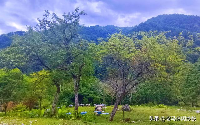 耿达的天空耿达的云——耿达植物园游记