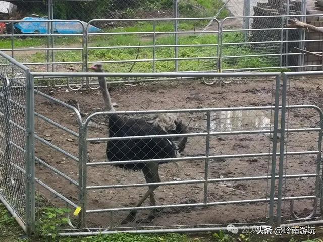 西安地铁10号线直达，承载708090后人记忆的未央湖公园变样了！