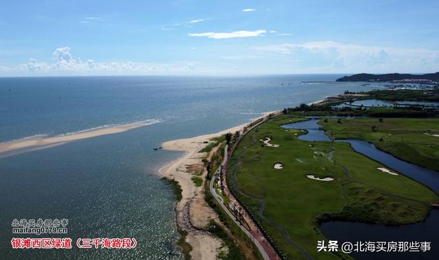 逐个数一数北海现在颇有名气的越冬旅居“候鸟乐园”