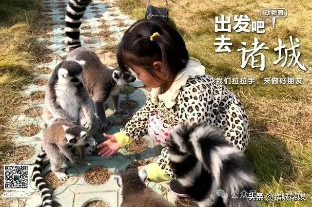 快来诸城,开启一场清凉狂欢之旅吧!