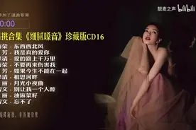 『戴上耳机 ♪ 原地起飞』 无损精挑合集《细腻嗓音》珍藏版 CD16图片