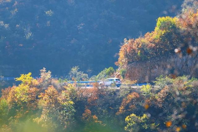 渑池坡头红叶拍摄记：一场迟来的秋日邂逅