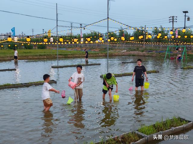 "鱼"悦盛夏 云梦陶楼庄园打造亲子避暑新体验