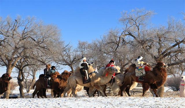 内蒙古正蓝旗：群众文化那达慕冬季村晚盛大举行