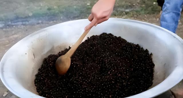 花费1亿请赵本山代言，成本2毛骗农户200亿，创始人被判无期徒刑