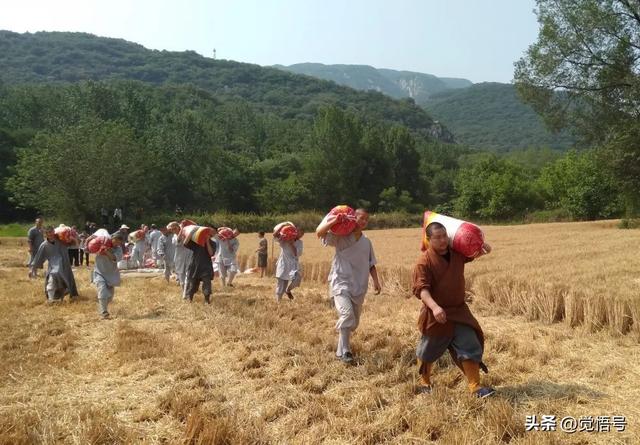 争议之外，来认识一个你可能不了解的少林寺
