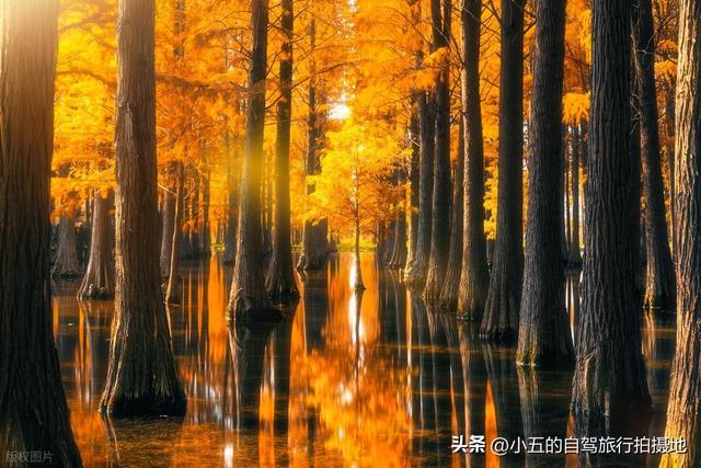 10-11 月 8 城穷游实测攻略！高铁直达 + 秋色浓 + 消费低，直接抄
