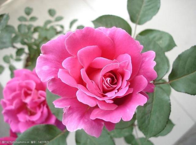 情感爆文：遇见，没有早晚，没有对错；缘份	，没有长短，只有珍惜