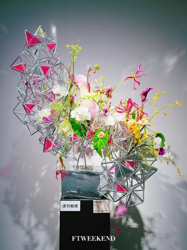 “内存拍爆了！”福田这条打卡路线，太出片！