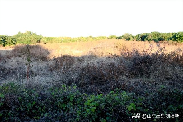 蓝天白云·径去西城拍片