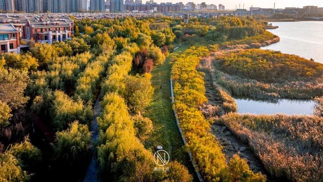 童话世界！深秋的生态城，美成了一幅画