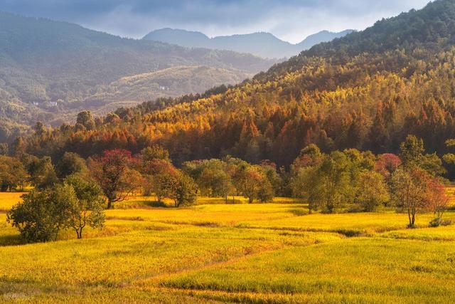 10月下旬-11月上旬，7个赏秋好地方，秋景鲜艳，尽享绚烂秋色