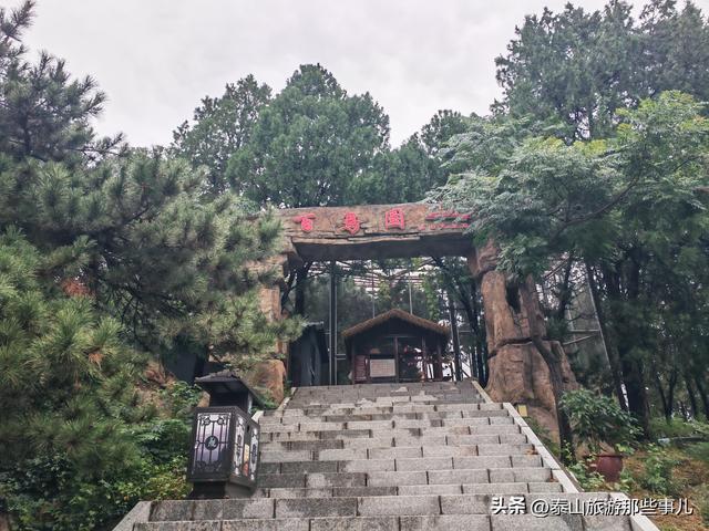 泰安：一场秋雨后，在虎山步道遇见了泰城最静的秋，而心则更静