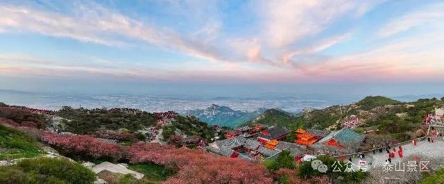 我想离开浪浪山，去看看泰山的四季轮转！
