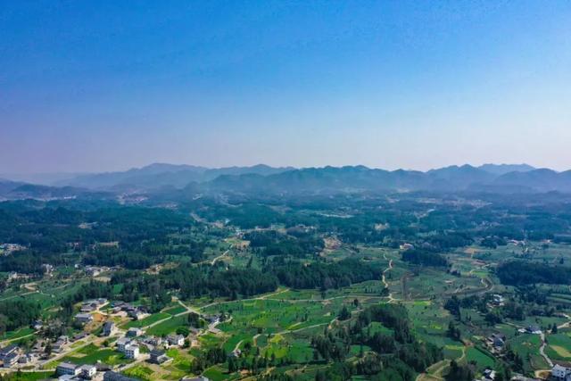 乡游黔中 · 凤冈县 进化镇丨银杏鎏金映古寨,高腔茶灯醉秋韵