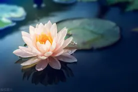 这3种布施，每日坚持做，你的命会越来越好！图片
