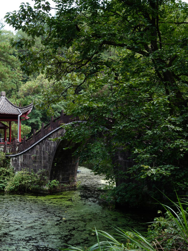 黄山治愈系打卡！20 分钟公园漫游，和“班味”说拜拜 | 皖美冬日 | 第十五届安徽国际文化旅游节