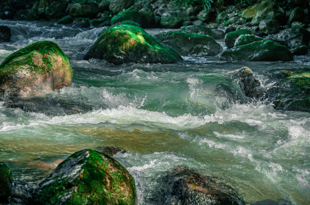 错过等一年！巴山大峡谷秋色刚开场，彩林已美成仙境！
