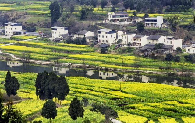 “舌尖上的春天”，明日一起去三元镇坐飞机逛花海尝花田火锅宴！