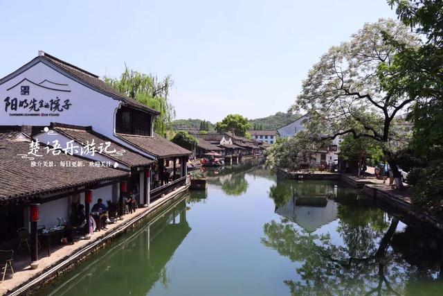 浙江绍兴这条历史街区很低调，但水乡风情浓郁，苦楝花美不胜收