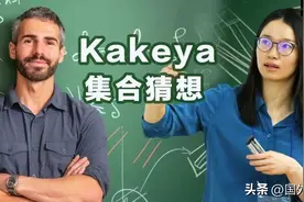 王虹攻克挂谷猜想的“四个没有想到”图片