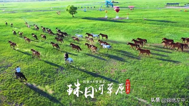 珠日河草原旅游区10月8日正式闭园，我们明年再次相约心上草原珠日河！
