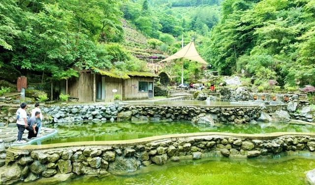 “清凉资源”释放消费活力，汶川避暑经济“火”力全开~