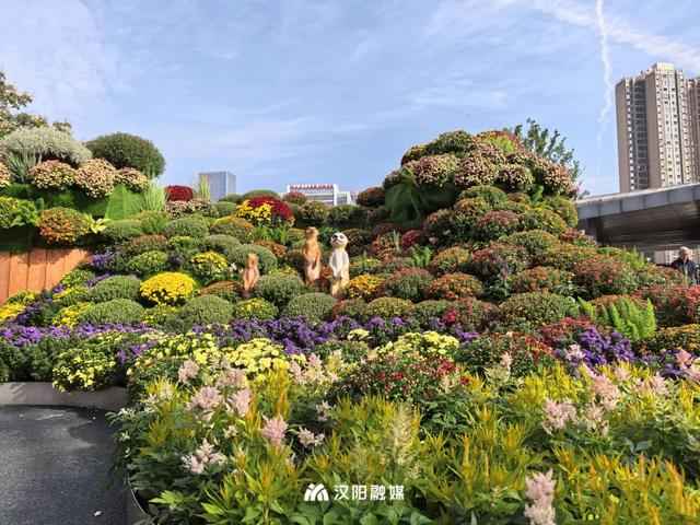 正式开幕，即将爆火一个月！