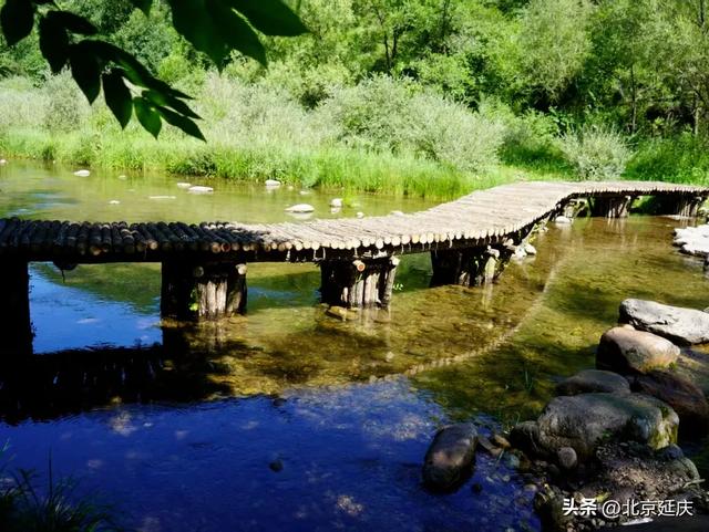 总长近150公里~延庆将建成两条森林步道——