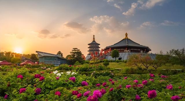 都说洛阳比开封还好，两地旅居半月后，说实话和网上说的真不一样