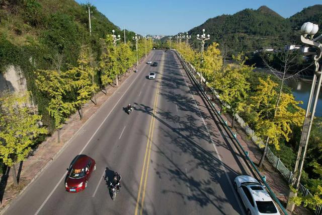 凯里版“黄金大道”将迎来观赏佳期 您的相机准备好了吗