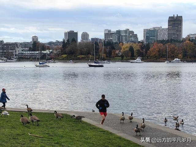 温哥华游记（六）