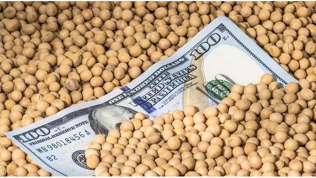 为大豆放低身段，美国公开表示：若中国需要大豆，希望先找美国