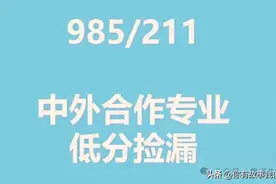 低分上名校：985、211大学中外合作办学汇总。24高考择校参考！图片