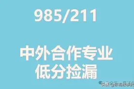 低分上名校：985、211大学中外合作办学汇总。24高考择校参考！图片