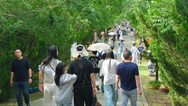喜迎五一小高峰 | 洈水景区美景如画，人气满满！