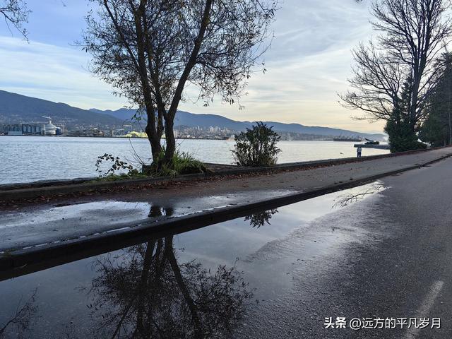 温哥华游记（四）