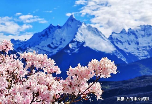 等一场日照金山，赴梅里雪山的千年之约